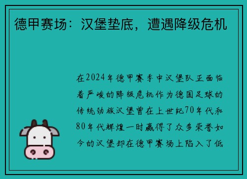 德甲赛场：汉堡垫底，遭遇降级危机